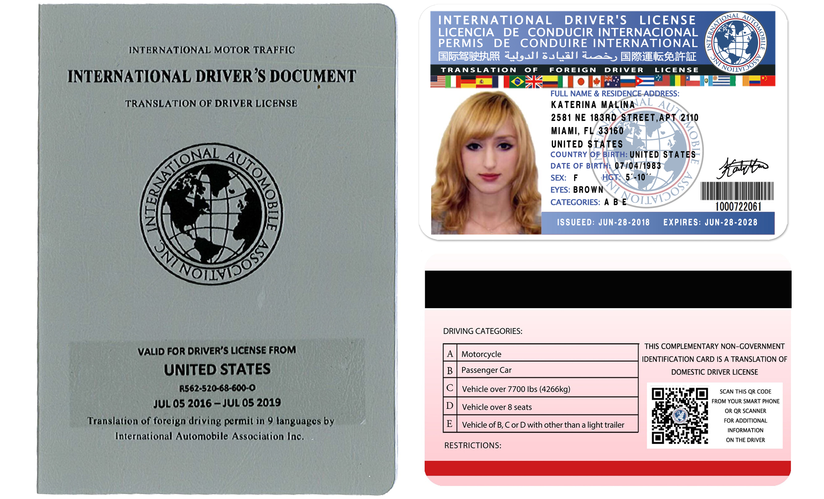 eschenbach international driver license